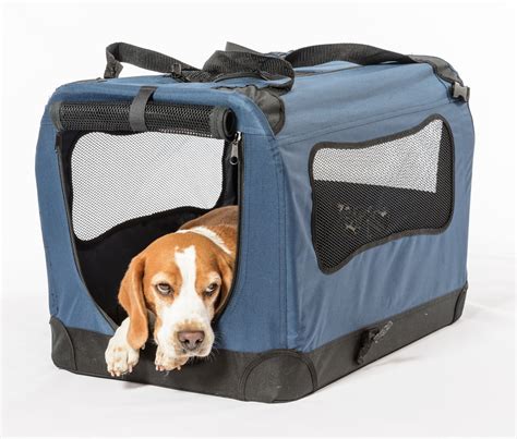 Travel Dog Crate Essentials