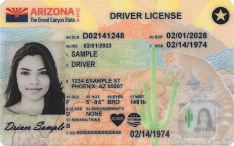 Travel ID AZ Requirements