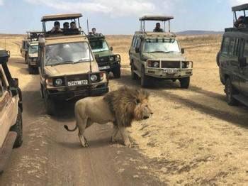 Travel Options Tours Safaris Tanzania Be The First To Write A Review