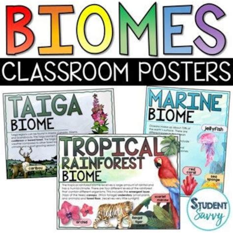 5 Biome Posters