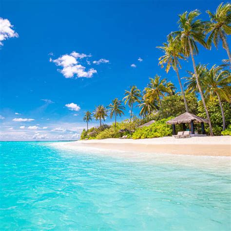 Caribbean Paradise Beach Destinations