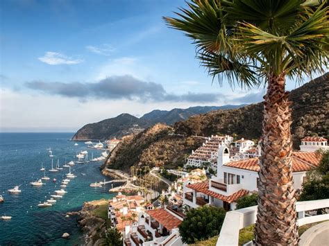 Visit Catalina Island