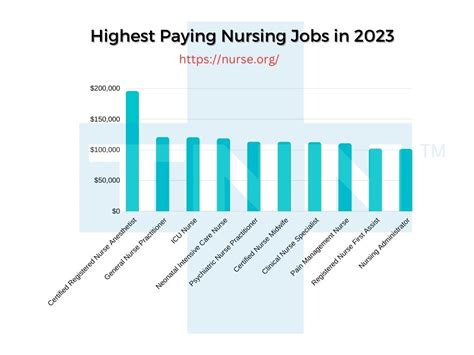 Traveling Rn Salary 2024 Nixie Angelica