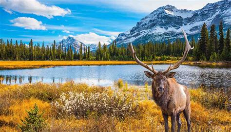 Traveling To Canada 6 Best Holiday Destinations On The List