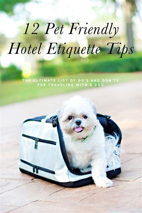 Traveling With A Dog 12 Pet Friendly Hotel Etiquette Tips Pretty