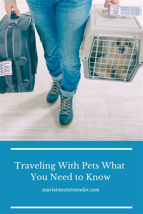 Traveling With Pets What You Need To Know Tourist Meets Traveler