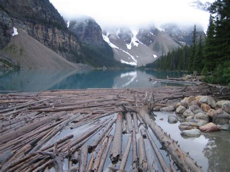 Tree Logs On Lake Louise Alberta Canada Canada Travel Canada O Canada