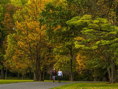 Trexler Memorial Park