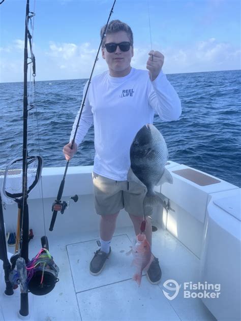 Trigger Fish Day On Championship Offshor Destin Fishing Report