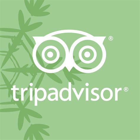 Tripadvisor Logo Png Transparent 4 Brands Logos