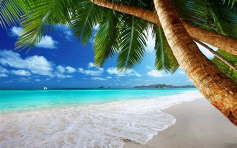 Tropical Beach Scenes Wallpapers Top Free Tropical Beach Scenes