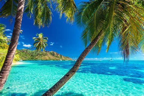 5 Tropical US Destinations