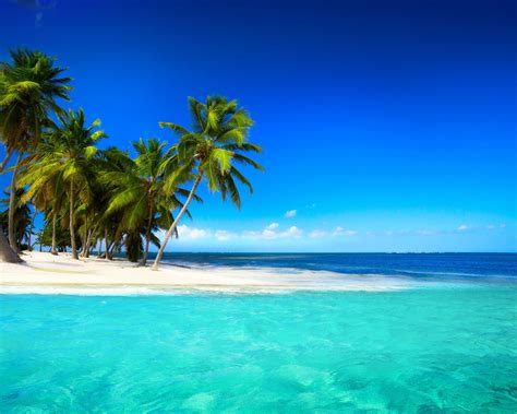 Tropical Paradise Desktop Wallpapers Top Free Tropical Paradise