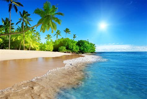 Tropical Paradise Wallpapers Top Free Tropical Paradise Backgrounds