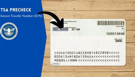 TSA Precheck Known Traveler Number Lookup