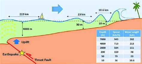 Tsunami Wave Propagation From Deep To Shallow Waters As It Enters The