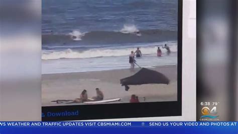 Two Shark Attacks Off Florida Beaches Youtube