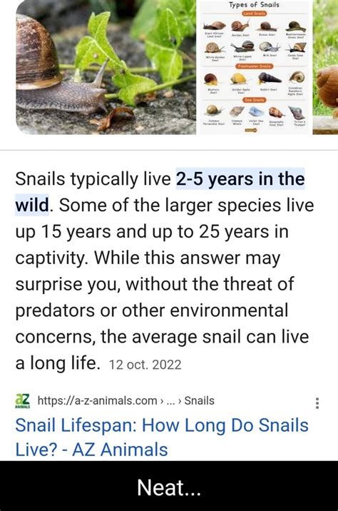 Types Of Snails Snails Typically Live 2 5 Years In The Wild Some Of