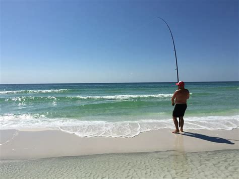 Ultimate Fishing Guide To Destin Fl Realjoy