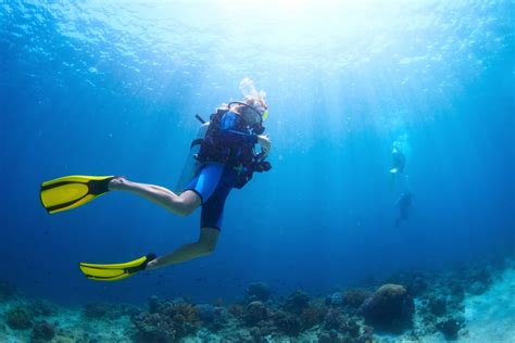 Ultimate Guide To Scuba And Snorkeling In Destin Fl