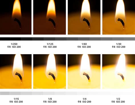 Understanding Exposure Part 3 Shutter Speed Shutter Speed Photography Digital Photography