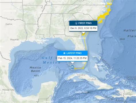 Understanding Shark Attacks In Florida And Mitigating Risks