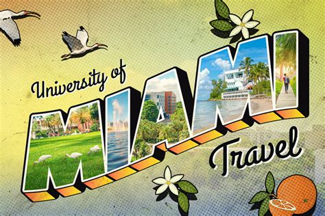 University Of Miami Travel