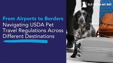 USDA Pet Travel Guidelines