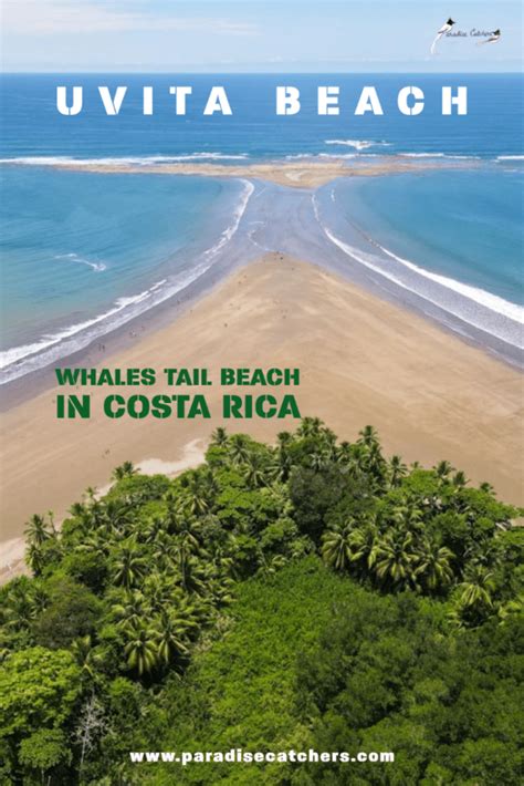 Uvita Beach The Unique Whale S Tail Beach In Costa Rica Moving To