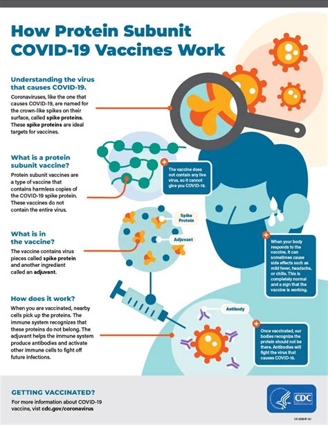 Vaccine Basics Covid19