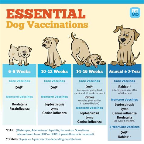 Vaccine Schedule And Flea Product