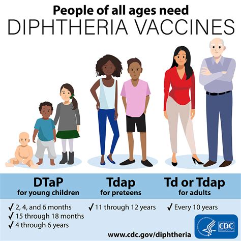 Vaccines For Diphtheria Cdc