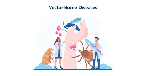 Vector Borne Diseases And Travel What You Need To Know Before You Go Health And Beauty