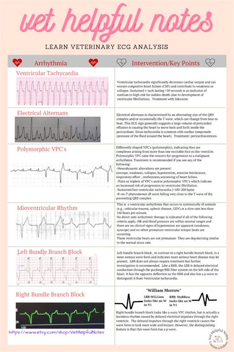 Vet Med Ecg Cheat Sheets Vet Nurse Ecg Guide Vet Tech Ecg Etsy Canada