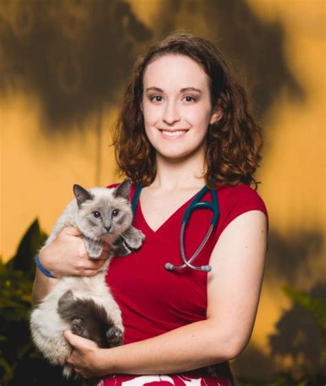 Veterinarian Destin