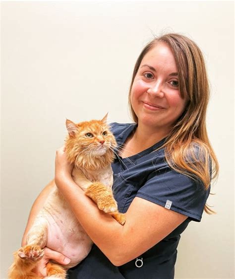 Veterinarian In Destin Fl 32541 Cat Clinic Of Destin