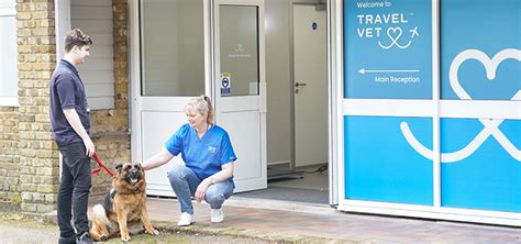 Vets In Staines Upon Thames Heathrow Vets Find Contact Travel Vet