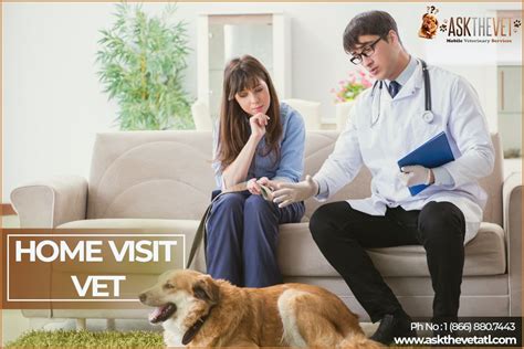 Vets That Do Home Visits Near Me Battendo