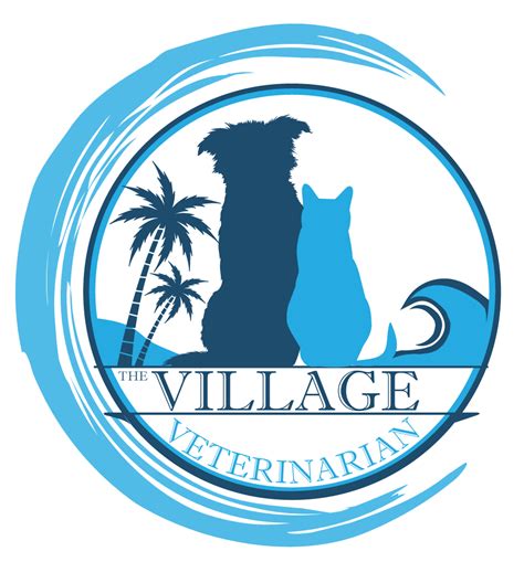 Village Vet Destin Animal Care Travel Guides Tips