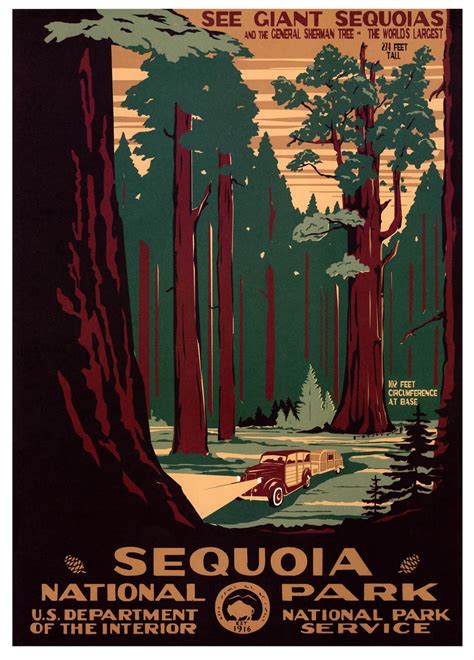 Vintage Travel Poster Sequoia National Park Classic Canvas Paintings