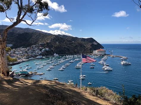 Visit Catalina Island Tried And True By Trista