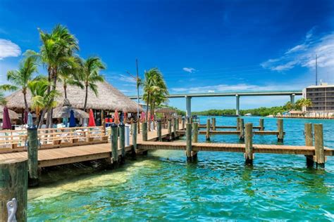 Visit Key West Top Things To Do In Key Largo