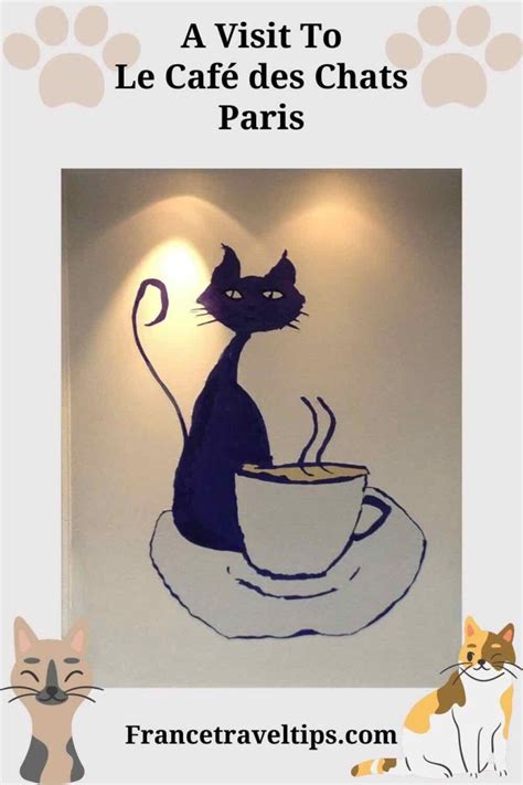 Visit Le Caf Des Chats In Paris France Travel Tips