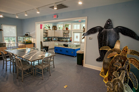 Visit The Coastal Discovery Museum On Hilton Head Island Discovery