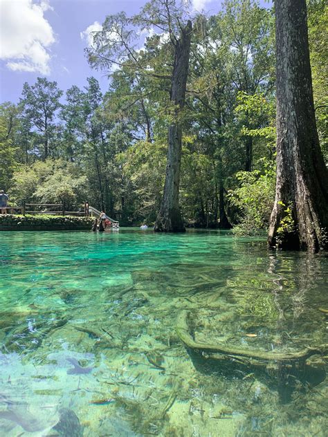 Visiting Ponce De Leon Springs State Park In Florida The Katherine