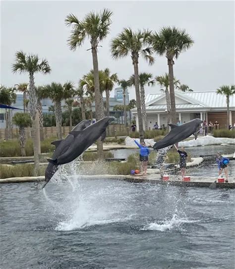 Visiting The Gulfarium Marine Adventure Park In Fort Walton Beach