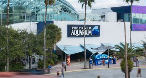 Visitor Information The Florida Aquarium