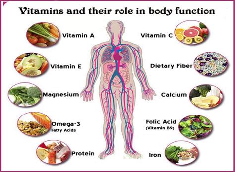 Vitamins And Their Role In Body Function Huge Effects On Body Vitamins Wine Recipes Healthy