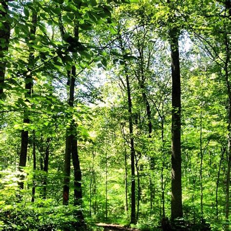 Walking The Perkiomen Trail In Green Lane Pa Summer Travel River Trail Headwaters