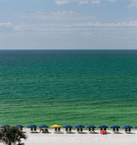 Walt Disney World Or Destin Florida Which Vacation Is Right For Your Family